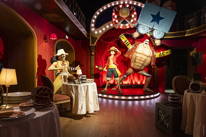 One Piece: Paris Museum
