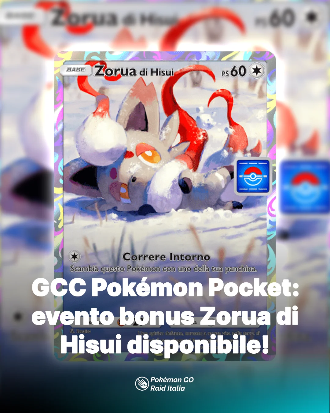 zorua