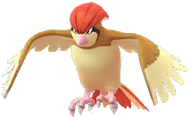 Pidgeotto